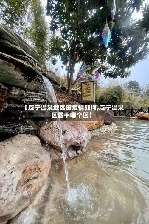 【咸宁温泉地区的疫情如何,咸宁温泉区属于哪个区】-第1张图片