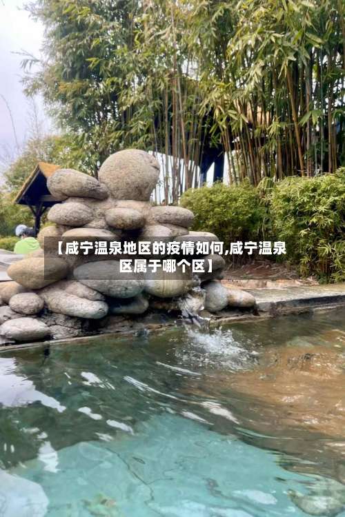 【咸宁温泉地区的疫情如何,咸宁温泉区属于哪个区】-第2张图片