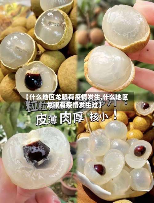 【什么地区龙眼有疫情发生,什么地区龙眼有疫情发生过】-第1张图片