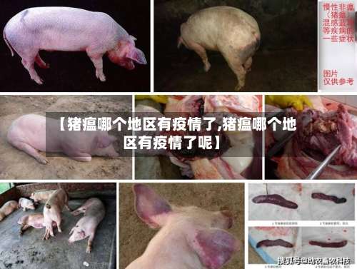【猪瘟哪个地区有疫情了,猪瘟哪个地区有疫情了呢】-第1张图片