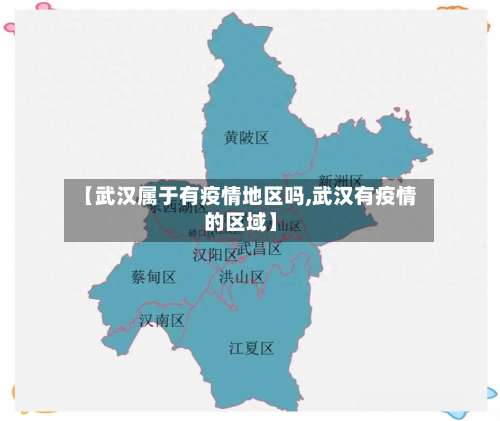 【武汉属于有疫情地区吗,武汉有疫情的区域】-第1张图片