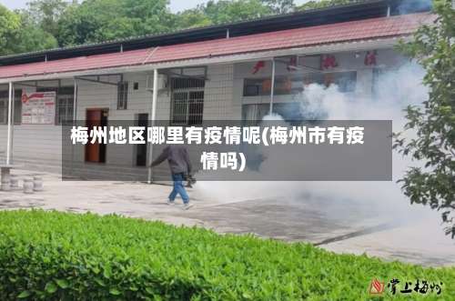 梅州地区哪里有疫情呢(梅州市有疫情吗)-第2张图片