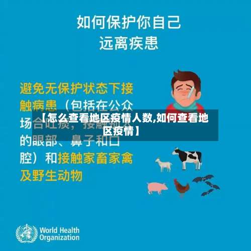 【怎么查看地区疫情人数,如何查看地区疫情】-第1张图片