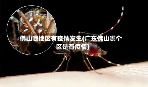 佛山哪地区有疫情发生(广东佛山哪个区是有疫情)-第1张图片
