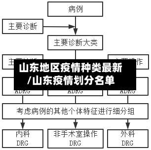 山东地区疫情种类最新/山东疫情划分名单-第1张图片