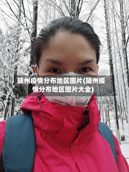 随州疫情分布地区图片(随州疫情分布地区图片大全)-第1张图片