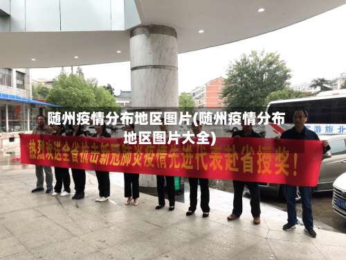 随州疫情分布地区图片(随州疫情分布地区图片大全)-第2张图片