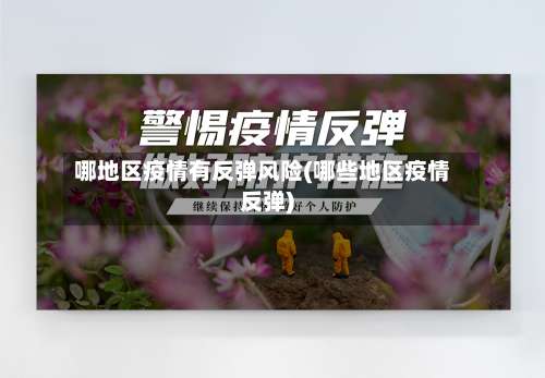 哪地区疫情有反弹风险(哪些地区疫情反弹)-第1张图片