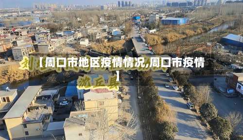 【周口市地区疫情情况,周囗市疫情】-第2张图片
