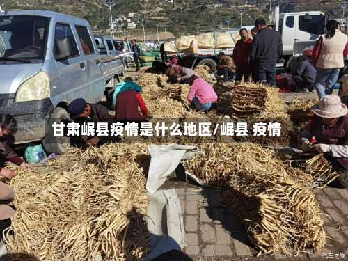 甘肃岷县疫情是什么地区/岷县 疫情-第1张图片