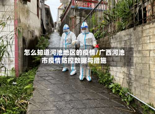 怎么知道河池地区的疫情/广西河池市疫情防控数据与措施-第2张图片