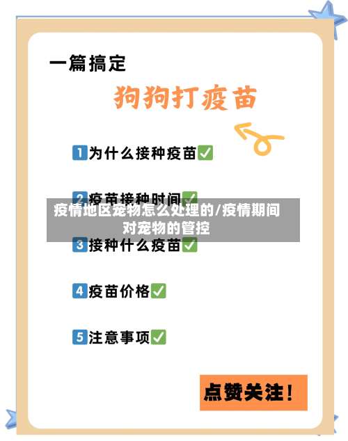 疫情地区宠物怎么处理的/疫情期间对宠物的管控-第1张图片