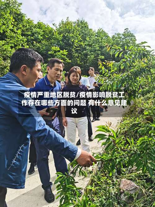 疫情严重地区脱贫/疫情影响脱贫工作存在哪些方面的问题 有什么意见建议-第3张图片
