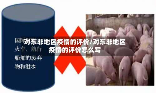对东非地区疫情的评价/对东非地区疫情的评价怎么写-第2张图片