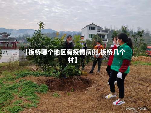 【板桥哪个地区有疫情病例,板桥几个村】-第2张图片