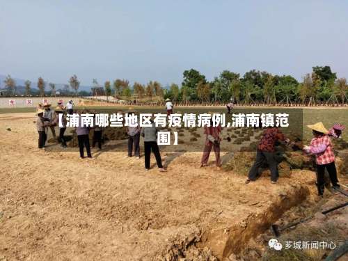 【浦南哪些地区有疫情病例,浦南镇范围】-第1张图片