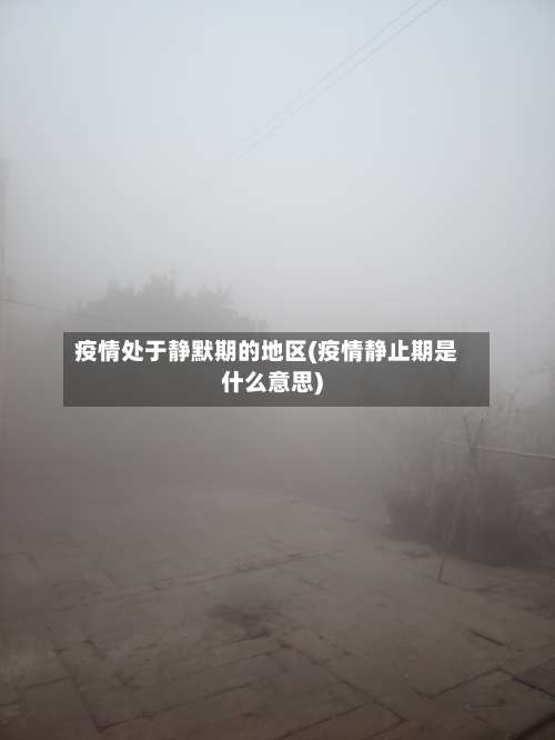 疫情处于静默期的地区(疫情静止期是什么意思)-第1张图片