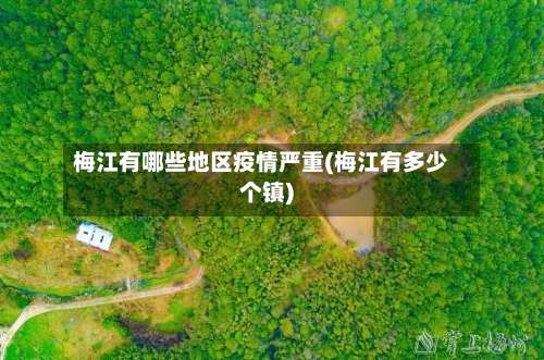 梅江有哪些地区疫情严重(梅江有多少个镇)-第2张图片