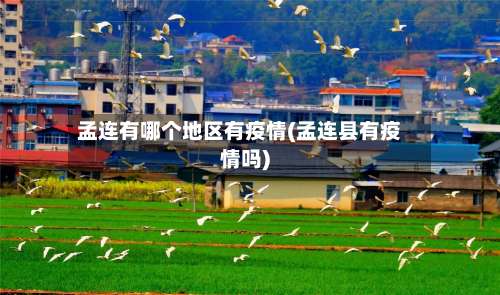 孟连有哪个地区有疫情(孟连县有疫情吗)-第2张图片